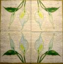 035 Calla - 3-ply